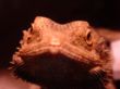 DSC04079.JPG